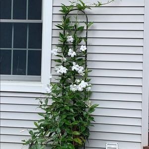 Meet your Posher, Lynn